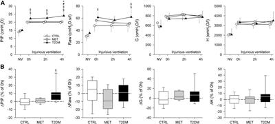 Exaggerated Ventilator-Induced Lung Injury in an Animal Model of Type 2 Diabetes Mellitus: A Randomized Experimental Study